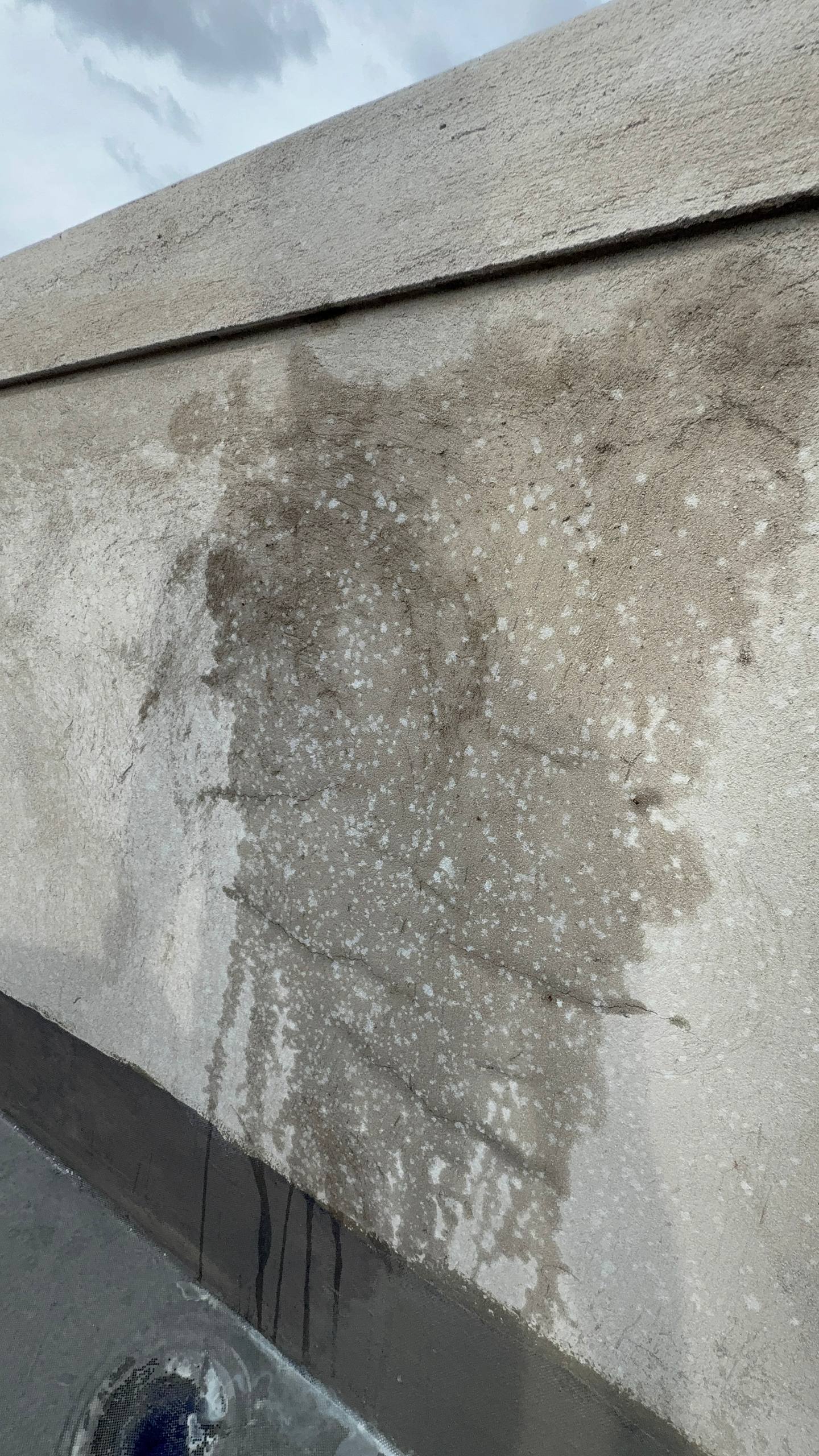 tường bị thấm nứt