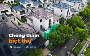 chống thấm biệt thự swanbay